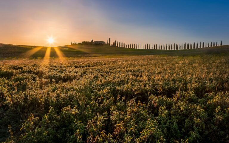 agriturismo