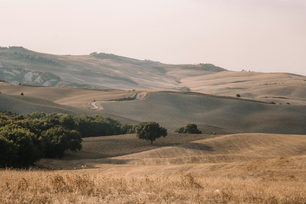 Via Francigena sulle orme degli antichi pellegrini