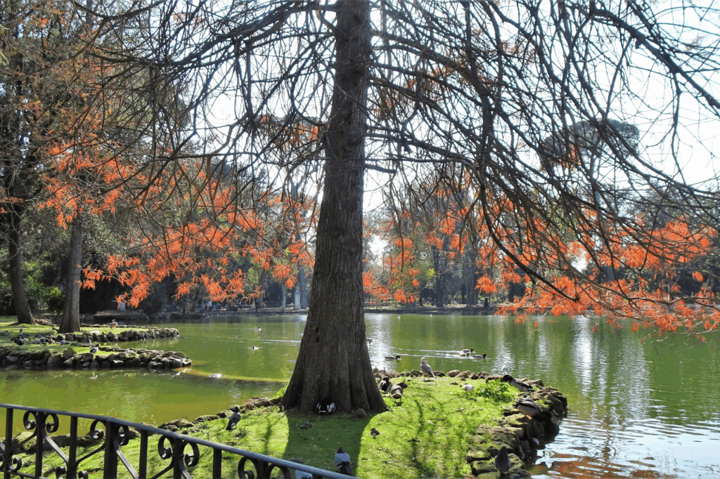 viaggio-Roma-cinema-cultura